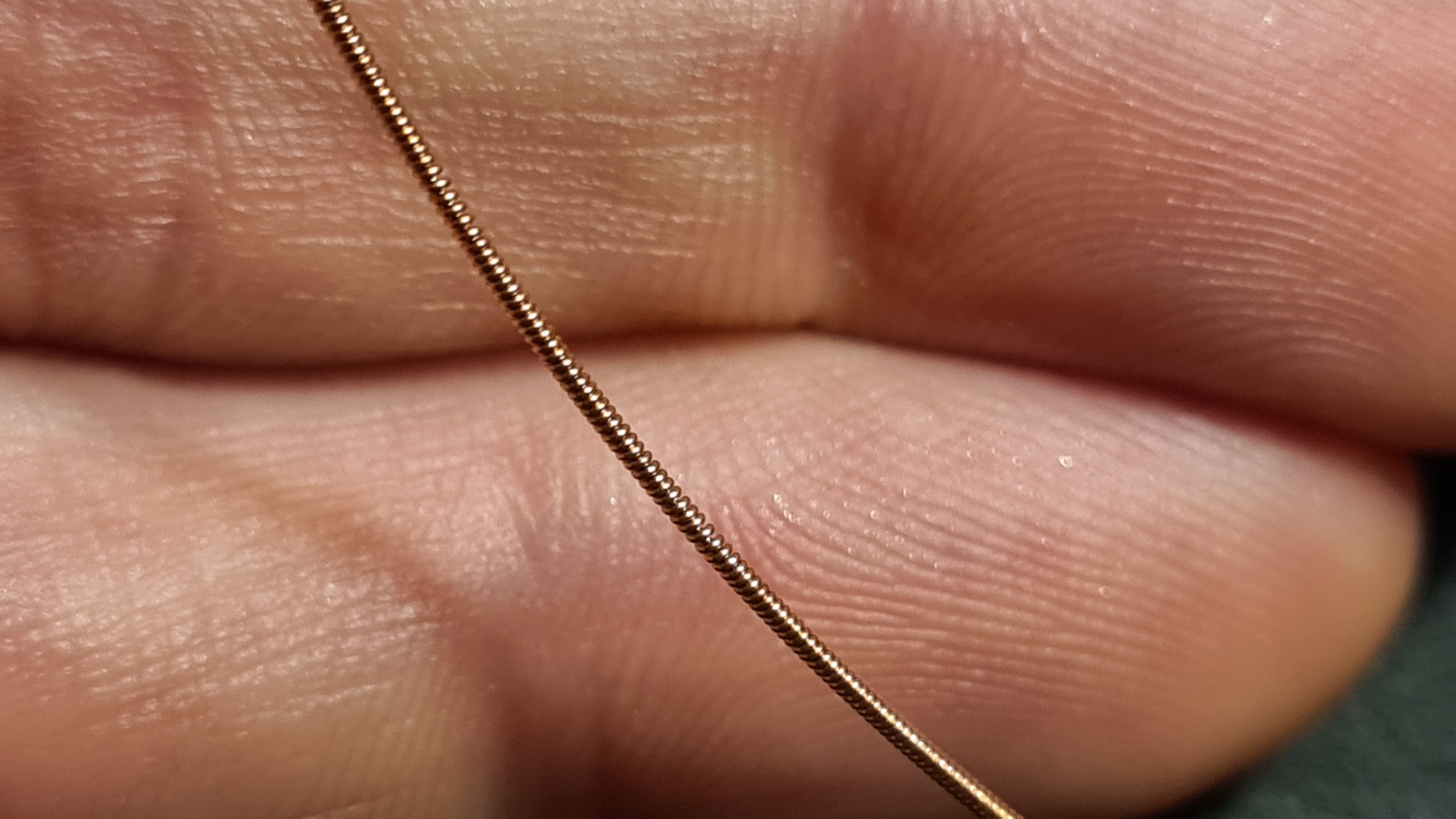 20201104_170201_resized_1.jpg