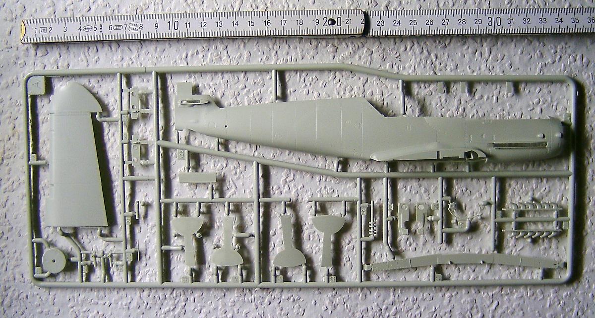 rechte Rumpfhälfte.JPG