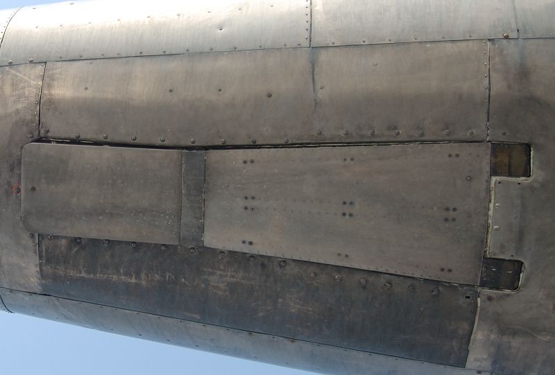 tail1.JPG