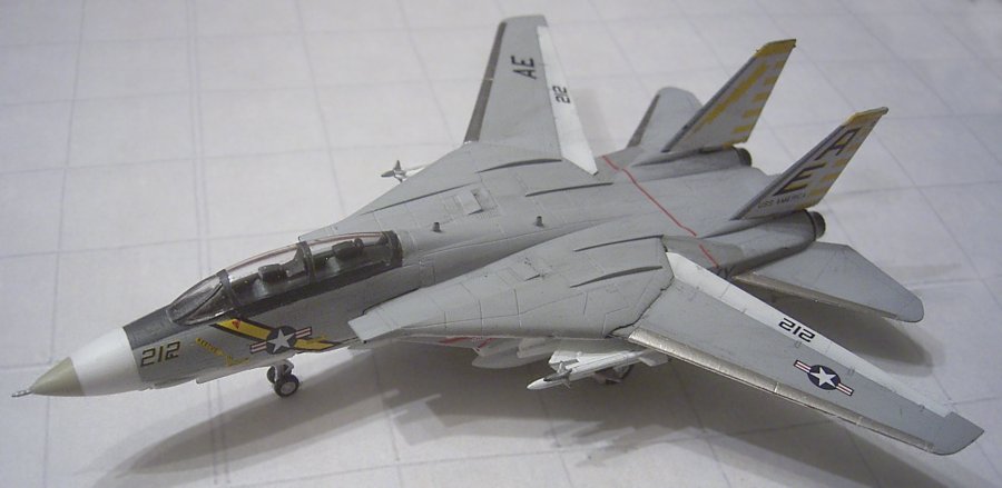 tomcat3.jpg
