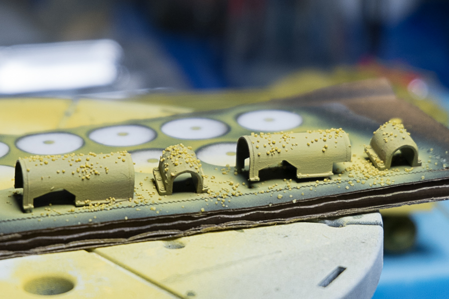 20150111_Tiger I_008.jpg