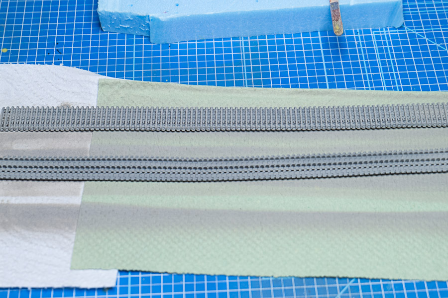 20150111_Tiger I_012.jpg