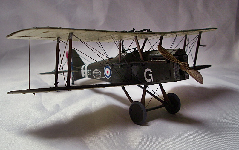 DSCI1665.JPG