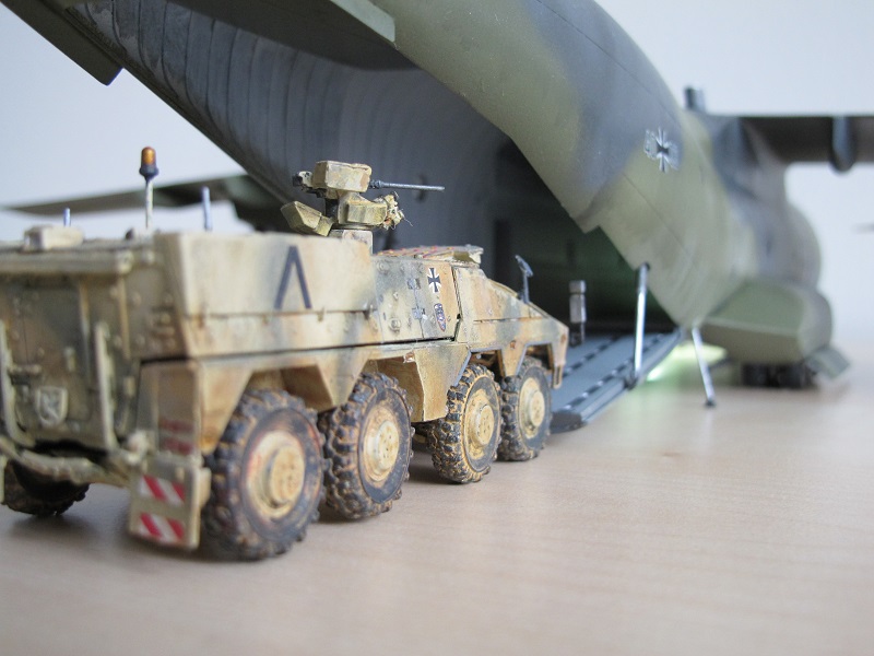 Der Boxer zum Größenvergleich