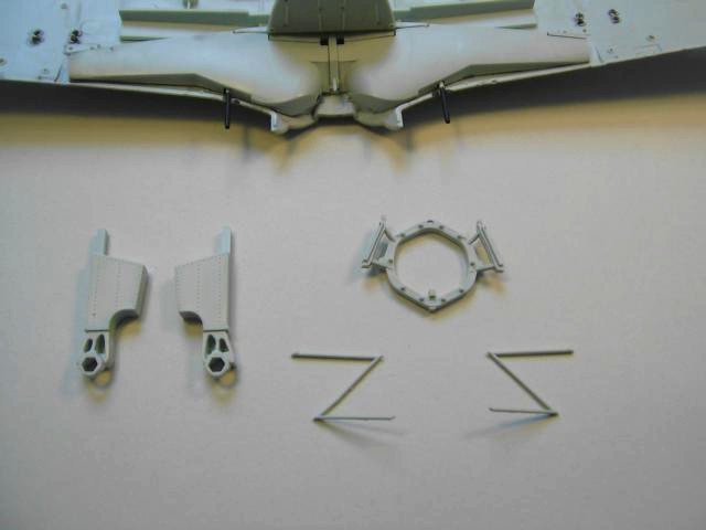 Fw 1.JPG