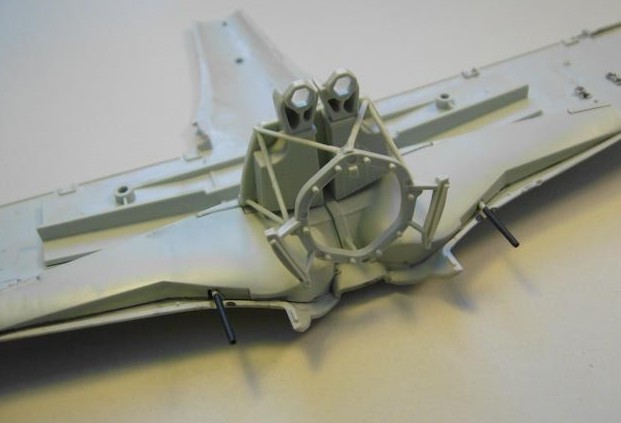 Fw 2.JPG