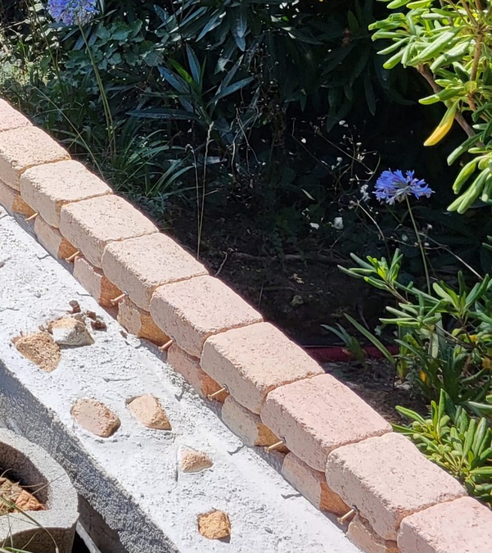 WhatsApp Image 2024-07-20 à 19.45.34_bb8c3f52.jpg