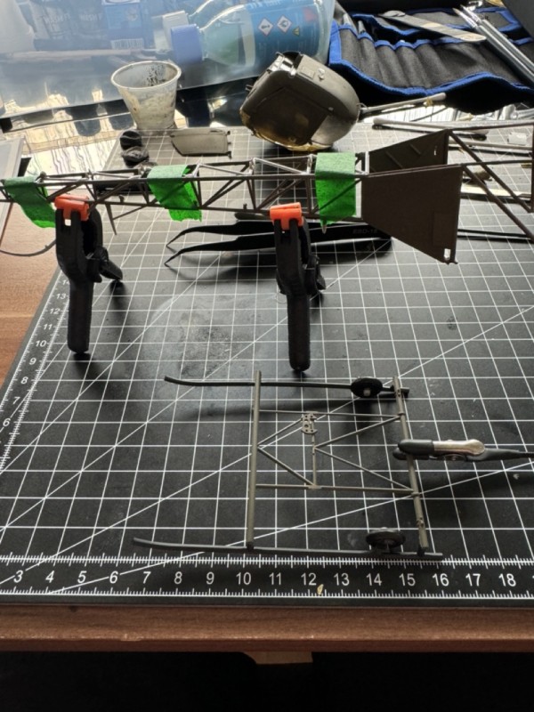 Groß (IMG_9634).jpeg