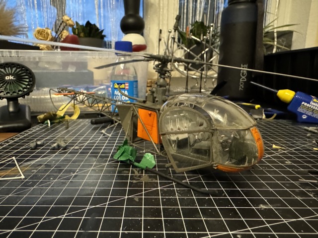 Mittel (IMG_9671).jpeg