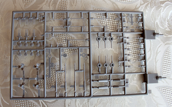 026-Spritzling F.jpg