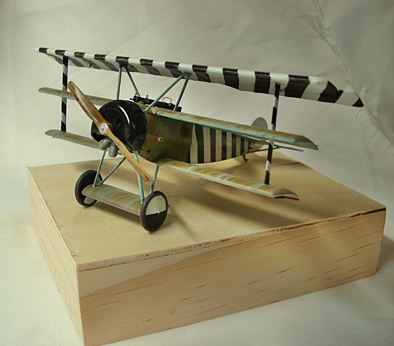 DSCI0399.JPG