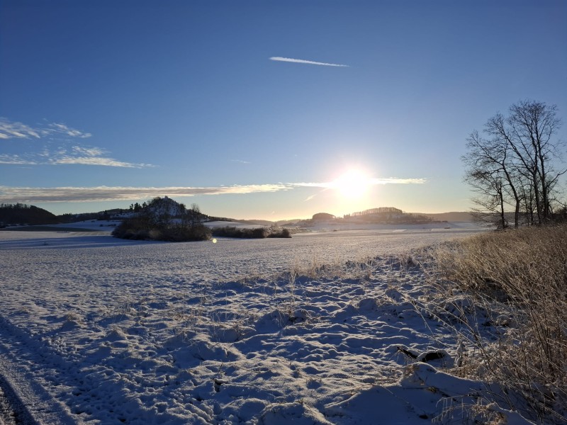 WhatsApp Bild 2024-12-25 um 09.04.12_a88c658b.jpg