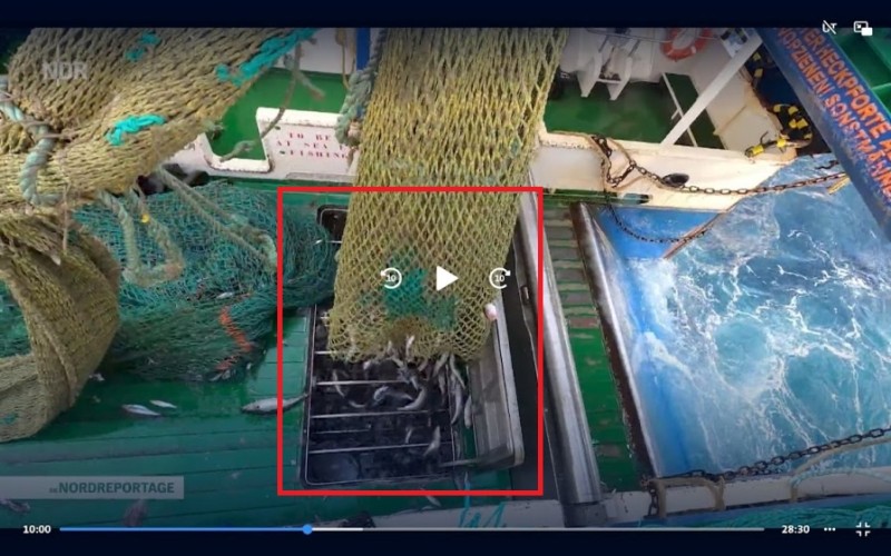 Fischbunker im Original<br />Bildschirmfoto: Quelle NDR Mediathek