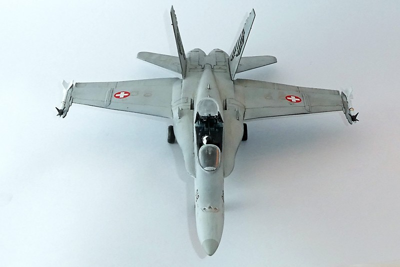 036_McDonnell Douglas FA-18C Panthers Front.jpg