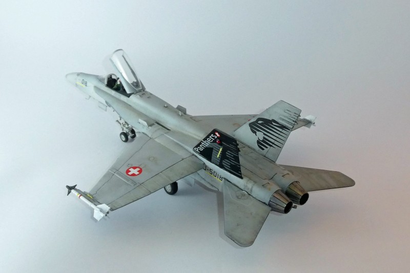 036_McDonnell Douglas FA-18C Panthers Hinten Links.jpg