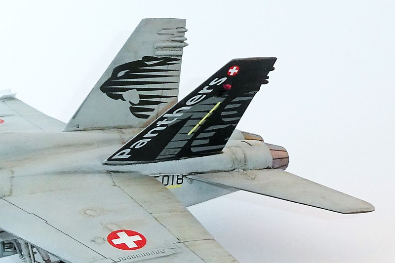 036_McDonnell Douglas FA-18C Panthers Heck links.jpg