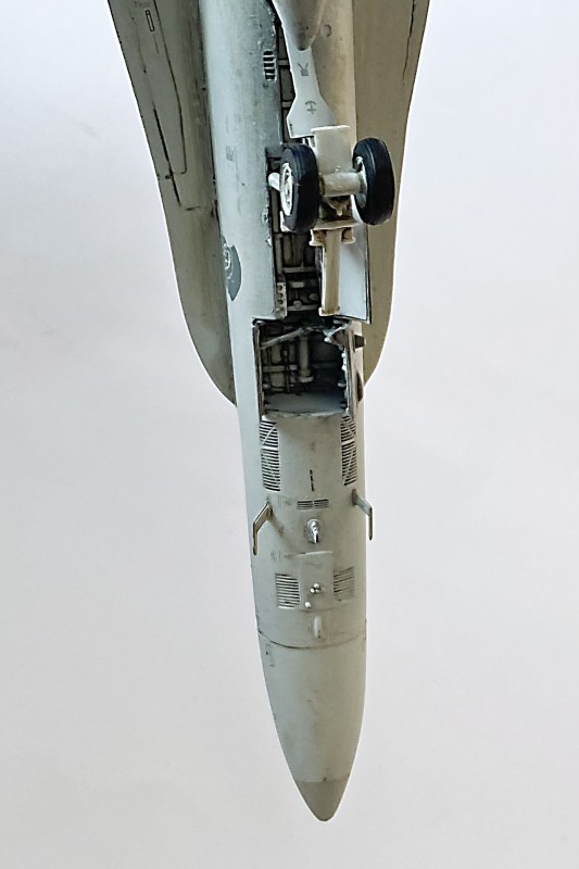 036_McDonnell Douglas FA-18C Panthers Fahrwerk Vorne.jpg