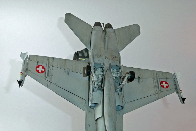 036_McDonnell Douglas FA-18C Panthers Fahrwerke hinten.jpg