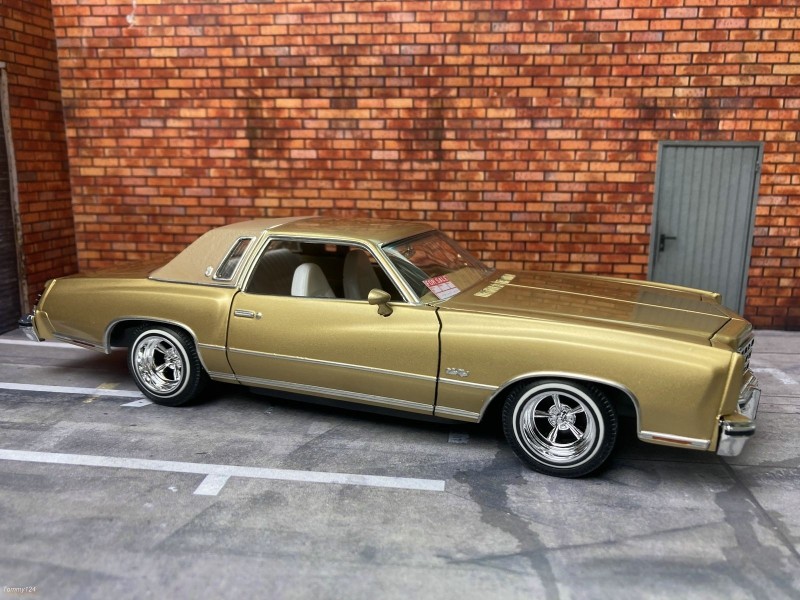 Revell Monte Carlo.jpg