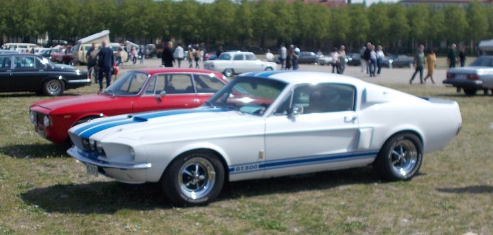 Mustang_10a.jpg