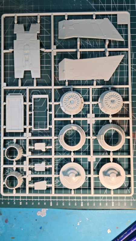 WhatsApp Image 2026-01-26 at 17.51.27.jpeg