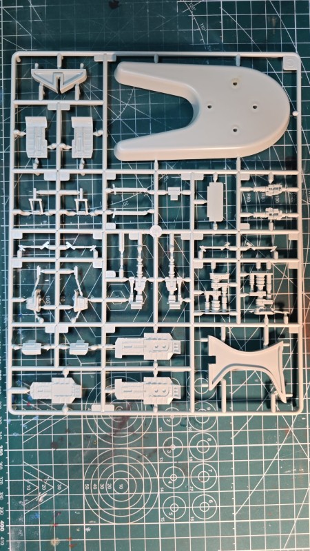 WhatsApp Image 2026-01-26 at 17.52.32.jpeg